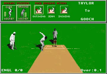 ITS Cricket - 1995 Edition_Disk1 screen shot game playing